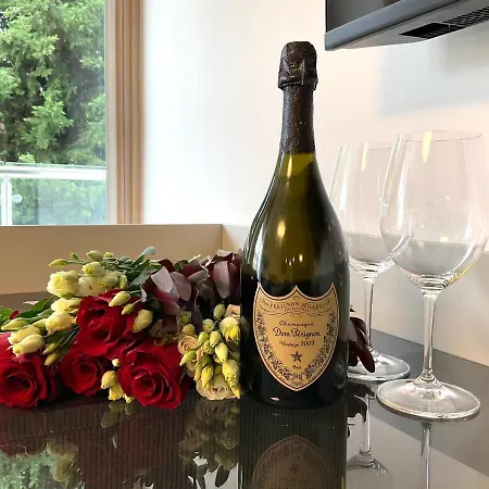 Grand Sissi 아파트 *